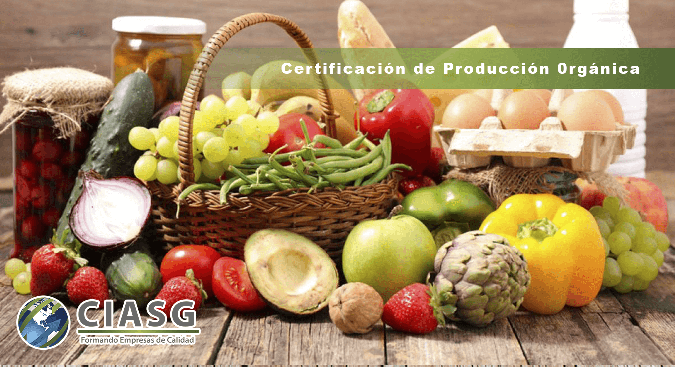 CIASG SLIDE6